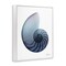 Stupell Industries Contemporary Nautilus Shell Framed Giclee Art